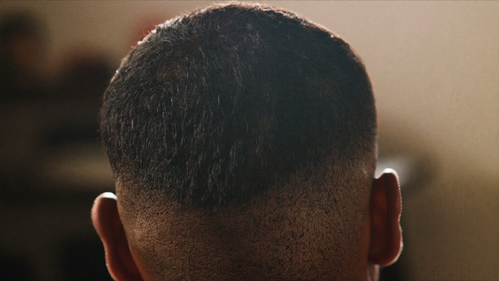 Close-up of the back of a man's head with dense, healthy short hair in a barbershop setting